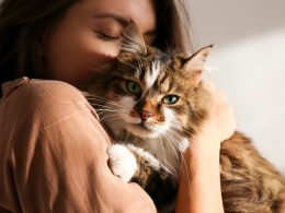 Мешканка Запоріжжя годує кота креветками