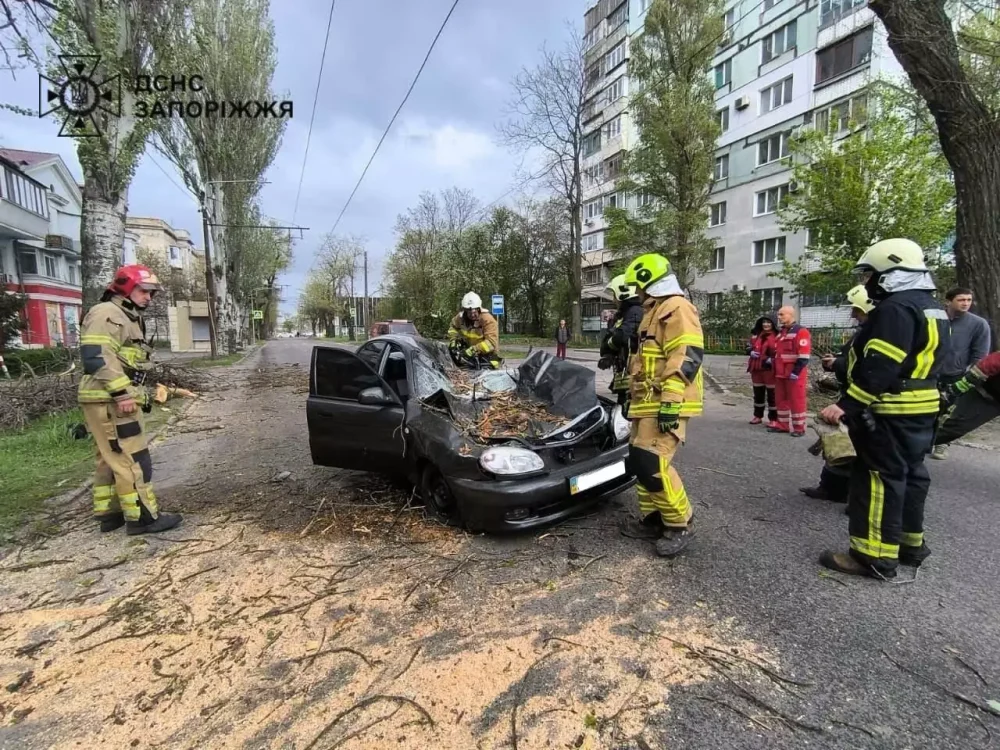 У запорізьких пенсіонерів поїхав дах У запорізьких пенсіонерів поїхав дах