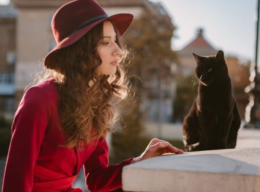 Турецькі фелінологи склали інструкцію до котів