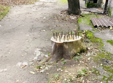 Арт-перформанс: що за дивний пеньок з цвяхами в центрі Запоріжжя